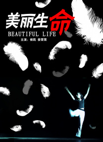 一级黄免费